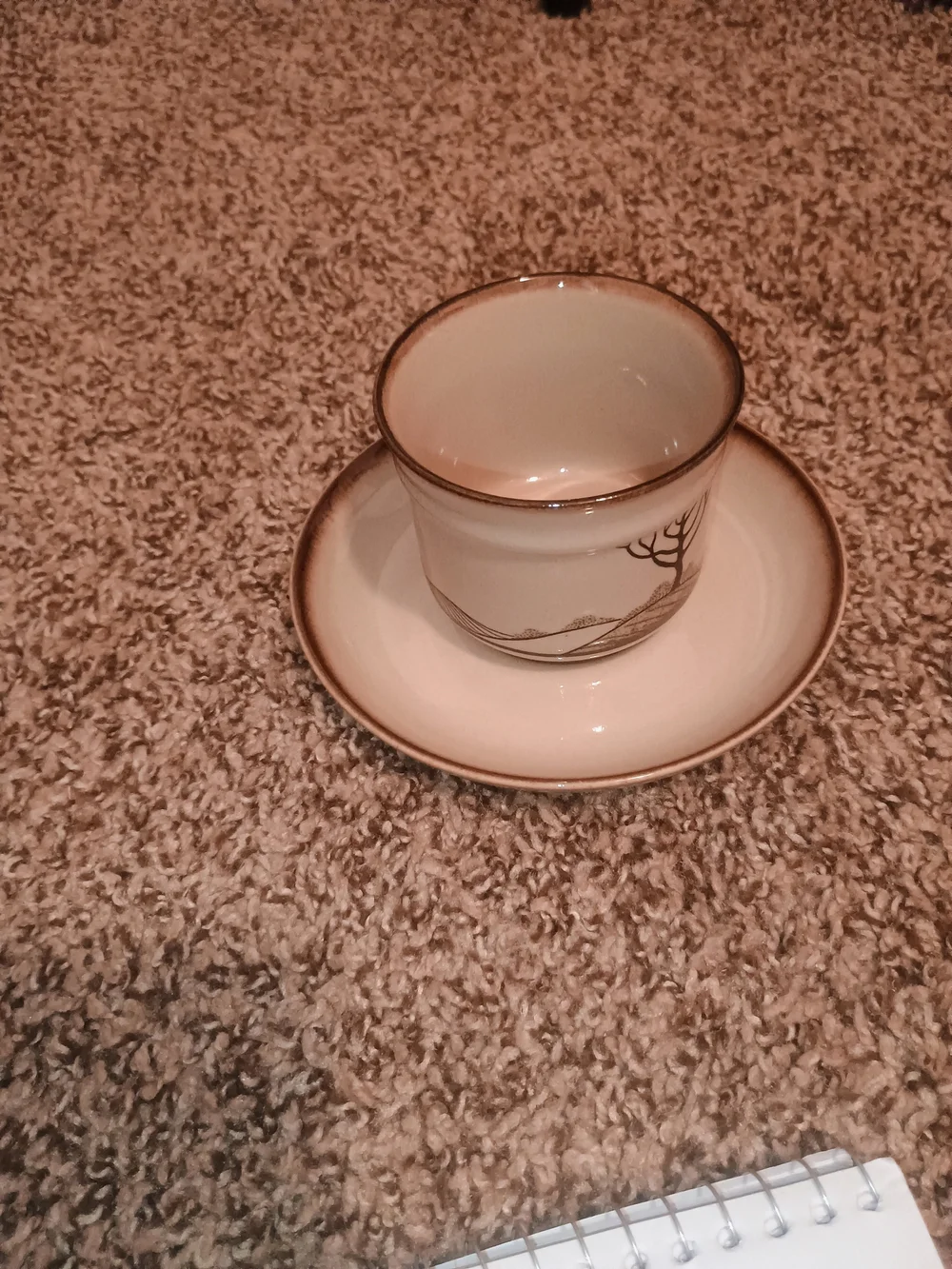 Danby Savoy Dishes Complete Set Will Never Been Used